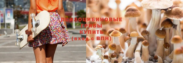 бошки Гусиноозёрск