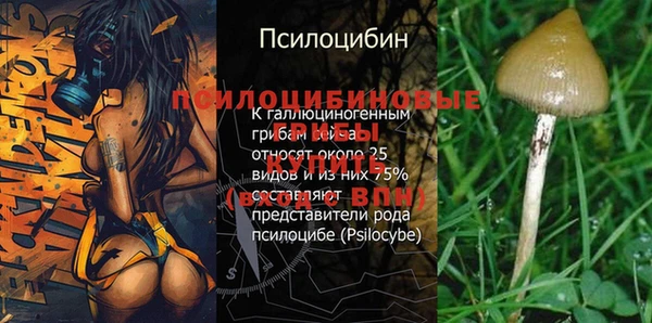 СК Вязники
