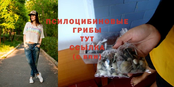СК Вязники